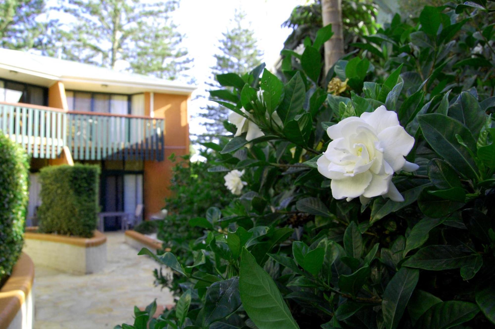 The Crest Byron Bay 아파트 호텔 외부 사진